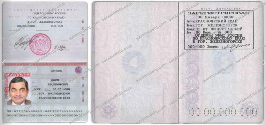 Russia Standard passport